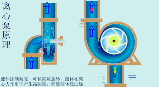 給（gei）水泵、給（ji）水泵別再傻傻分不清楚（內(nèi)含動畫）