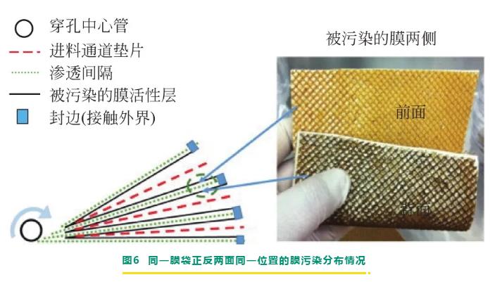 反滲透/納濾膜剖檢分析與膜污染診斷研究進展 新聞資訊 第9張