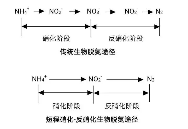 流體展|面對(duì)低濃度氨氮工業(yè)廢水束手無(wú)策？這幾種方法可以解決 行業(yè)熱點(diǎn) 第4張